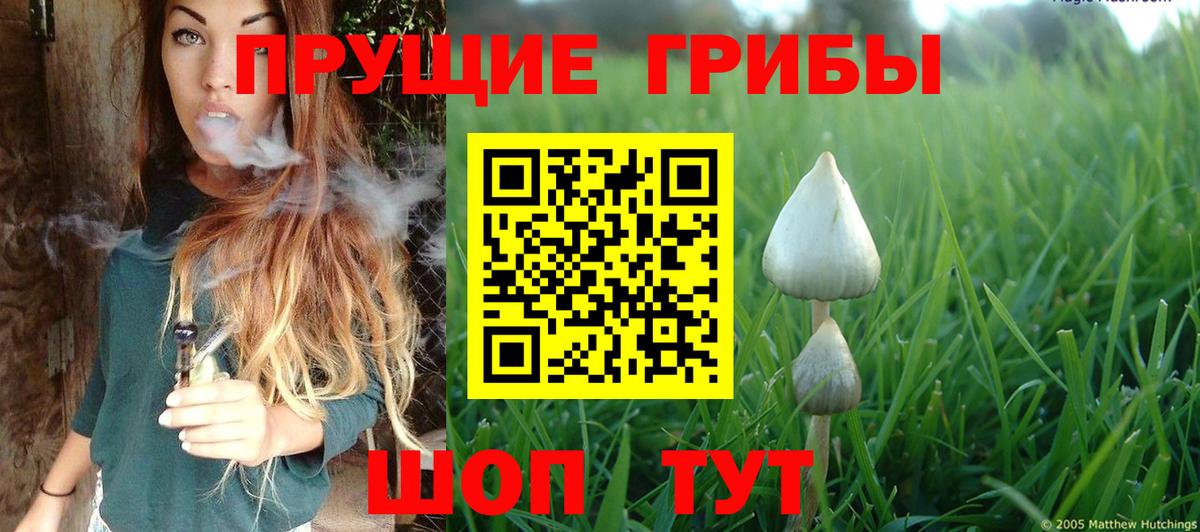 Галлюциногенные грибы Magic Shrooms Тында