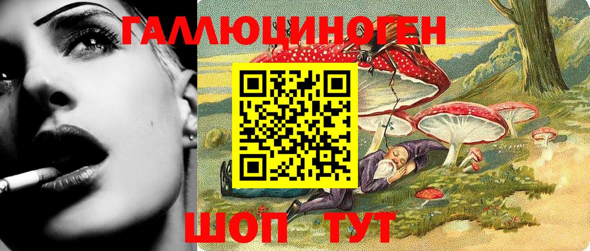 Галлюциногенные грибы Magic Shrooms  Вход с VPN  цены наркотик  Тында 